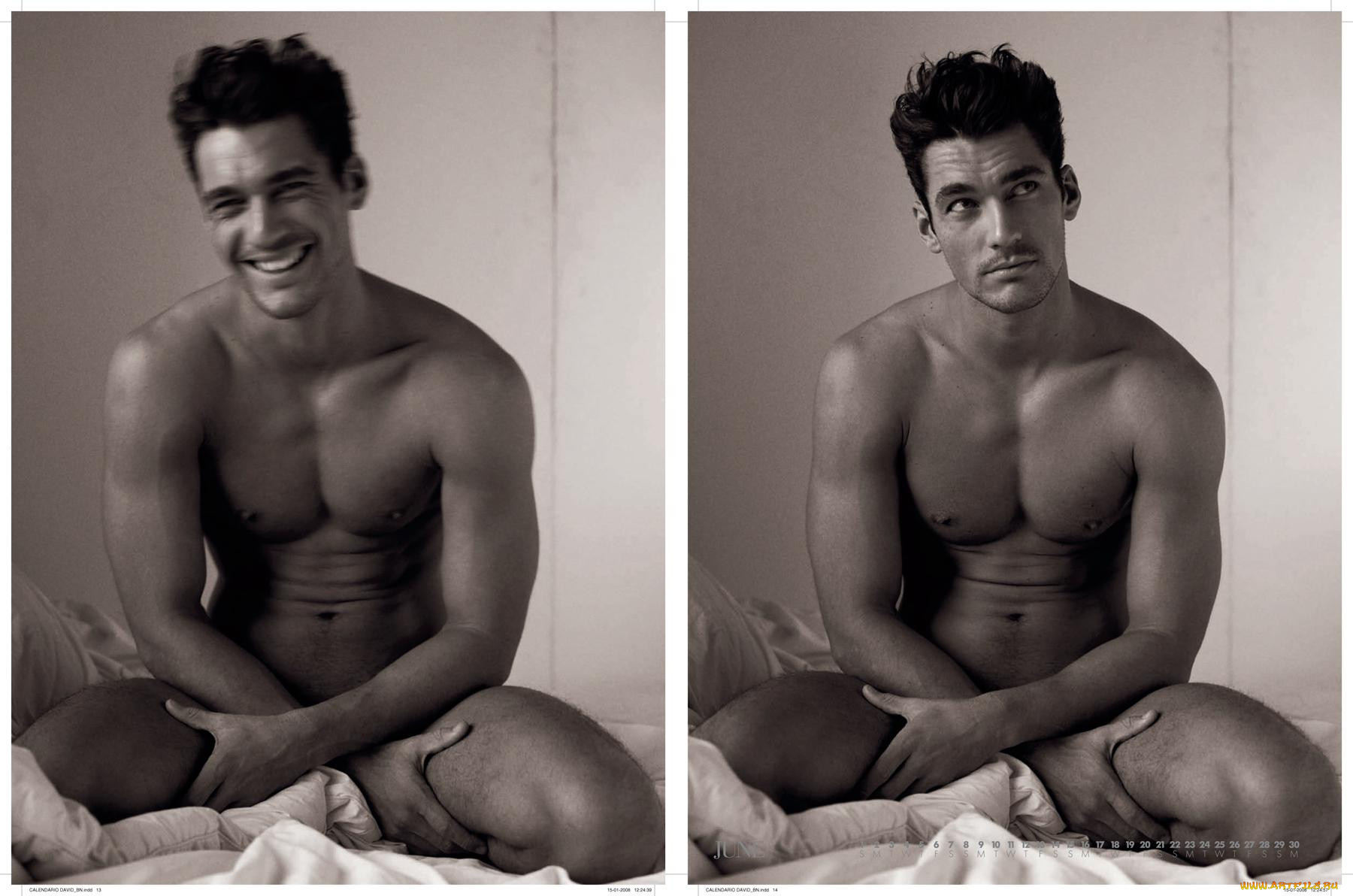 david, gandy, , 